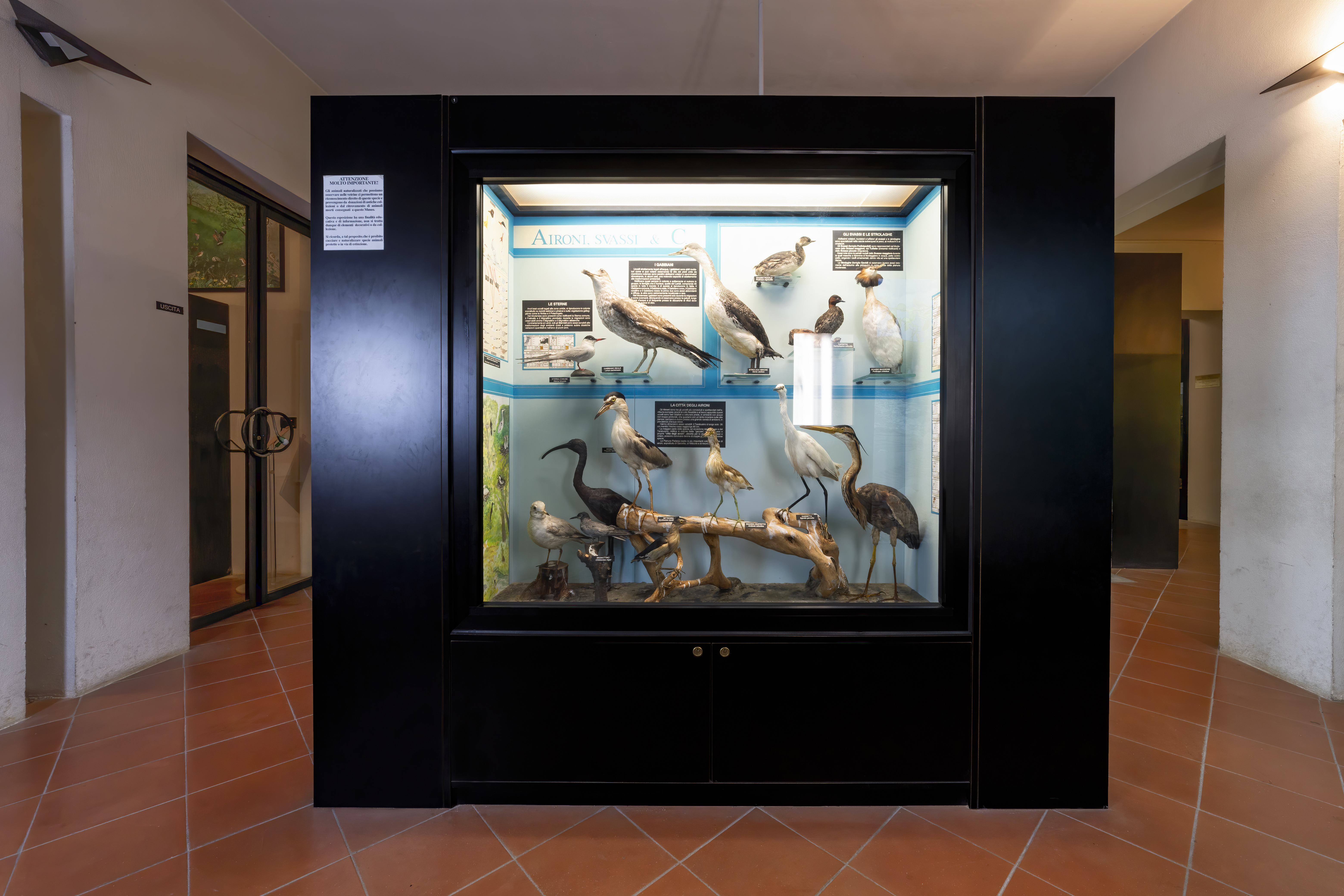 Museo Civico e Storia Naturale - ph Nacchio Brothers